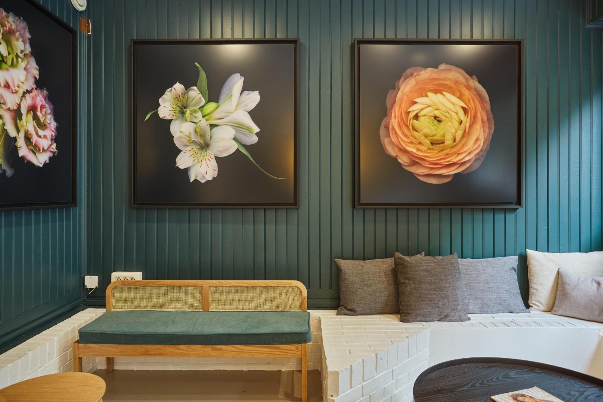 Hotel Goldhotel